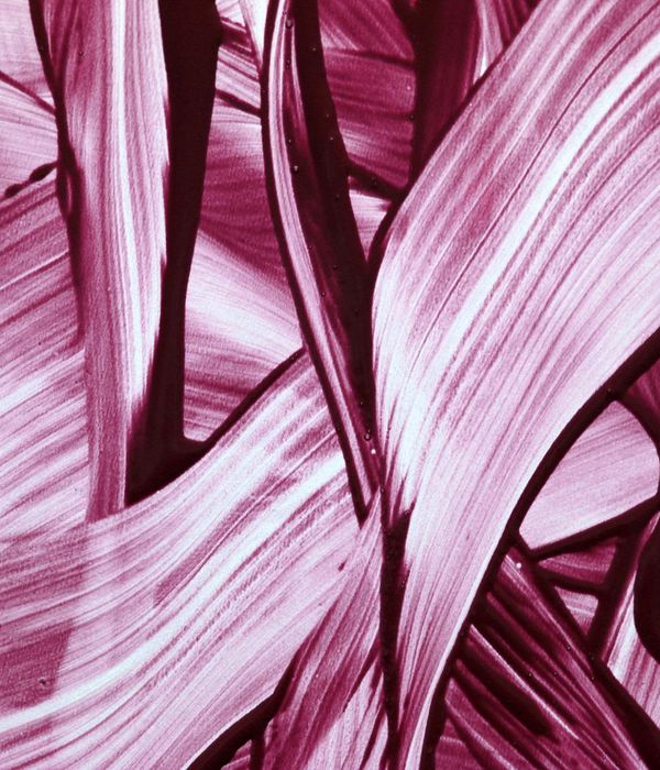 Abstract arctic lines representing fluid movement and balance